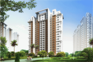 Doshi Apartments
